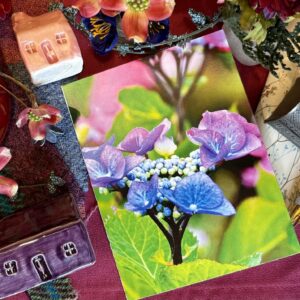 Hydrangea Notecards